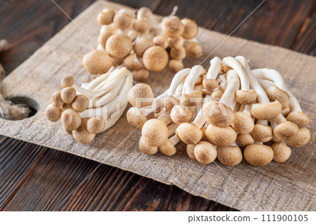 Brown beech mushroom Brown beech mushroom 111900105