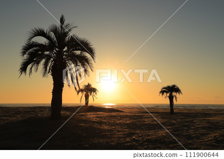 Sunrise seen from the coast 111900644