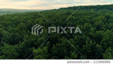 Aerial forest view nature background green trees Aerial forest view nature background green trees 111900966