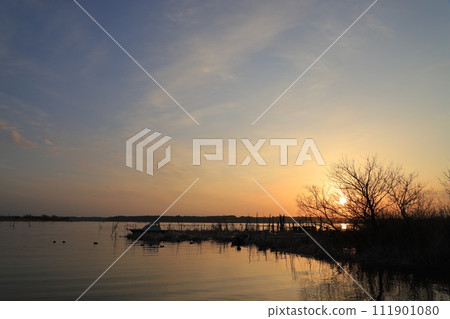 lake illuminated by the morning sun 111901080