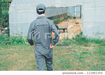 greenhouse, gents, male 111901343