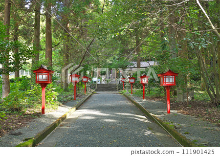 [Kandake Shrine] Kandake, Ichikikushikino City, Kagoshima Prefecture 111901425