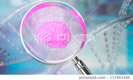 The magnifying glass and Brain for sci or medical. Concept 3d rendering. 111901480