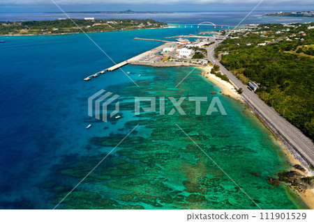 沖繩本島北部的珊瑚礁和總部港 111901529