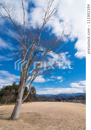 從阿爾卑斯山展望公園「天空公園」眺望高山市區和飛驒山脈 111902384