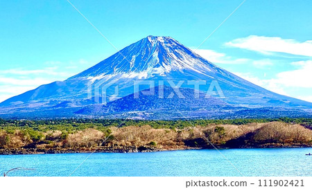 Mt.Fuji landscape photo. Mt. Fuji floating on Lake Shoji during the New Year Mt.Fuji landscape photo. Mt. Fuji floating on Lake Shoji during the New Year 111902421