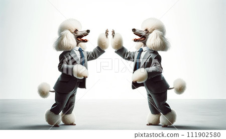 一隻穿著西裝的玩具貴賓犬慶祝成功，並在工作中與同事擊掌。 111902580