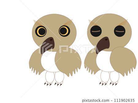 不是貓頭鷹,而是角鴞 不是貓頭鷹,而是角鴞 111902635