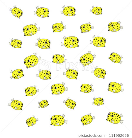 Southern boxfish 111902636