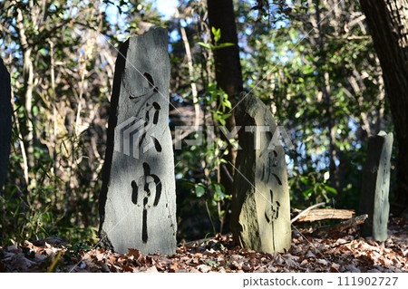 百甲神(埼玉縣小川町大字青山) 百甲神(埼玉縣小川町大字青山) 111902727