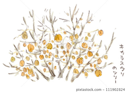 冬季植物,櫻桃樹樹枝上掛著許多漿果的水彩插圖 冬季植物,櫻桃樹樹枝上掛著許多漿果的水彩插圖 111902824