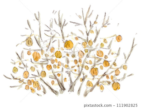 冬季植物,櫻桃樹樹枝上掛著許多漿果的水彩插圖 冬季植物,櫻桃樹樹枝上掛著許多漿果的水彩插圖 111902825