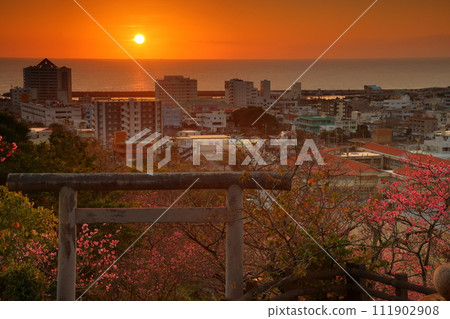 沖繩縣名護市名護城公園名護神社參道上的鳥居上,早開的琉球寒日櫻花和名護灣的夕陽 沖繩縣名護市名護城公園名護神社參道上的鳥居上,早開的琉球寒日櫻花和名護灣的夕陽 111902908