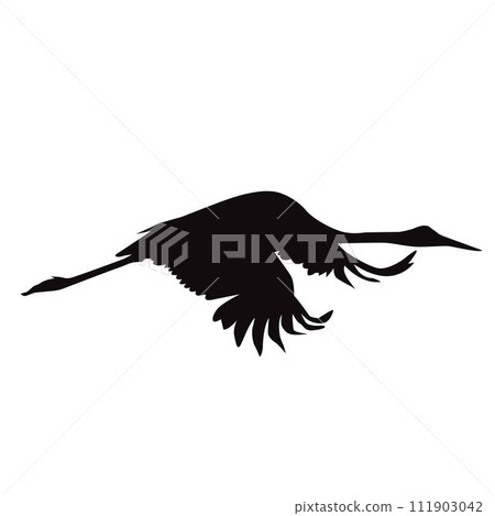 black silhouettes of Sarus crane taking flight 111903042