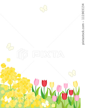 Spring hill card with rape blossoms and tulips - vertical version 111903134