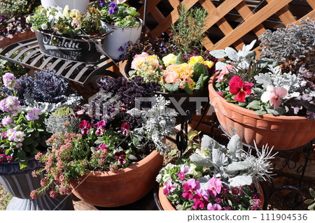 Group planting of flowers and pots 111904536