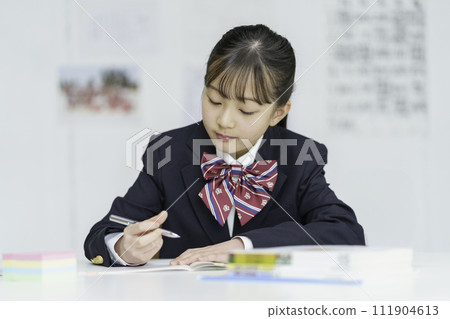 一個正在學習的女學生的肖像 一個正在學習的女學生的肖像 111904613