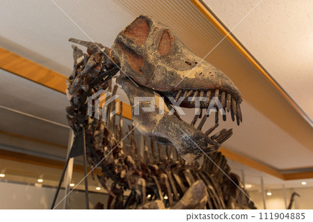 giant dinosaur model giant dinosaur model 111904885