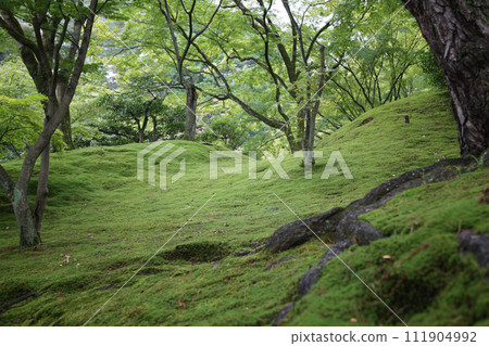 日本園林景觀 111904992