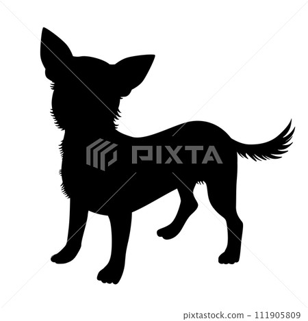 奇瓦瓦剪影_向量插圖 111905809