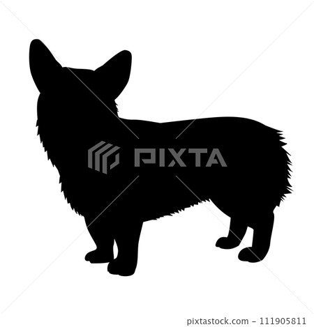 Corgi silhouette_vector illustration 111905811