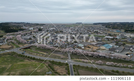 春色盛開－南相馬市小高區小田川沿岸的櫻花樹鳥瞰圖 111906118