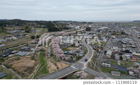 春色盛開－南相馬市小高區小田川沿岸的櫻花樹鳥瞰圖 111906119