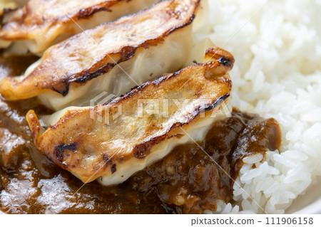A close-up of gyoza curry rice. A close-up of gyoza curry rice. 111906158