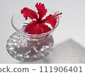 Hibiscus in a glass container 111906401