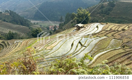 Rice terraces in Mu Kan Chai in northern Vietnam have begun to flood 111906858