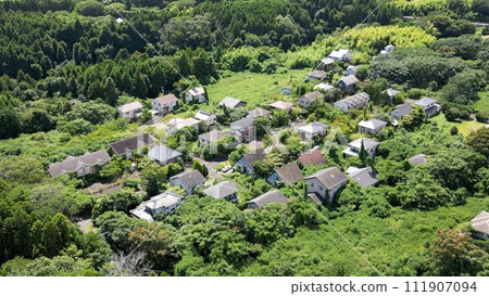 Silence and regeneration - lush greenery in Okuma Town after evacuation Silence and regeneration - lush greenery in Okuma Town after evacuation 111907094