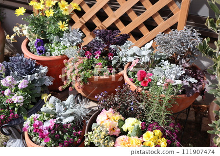 Group planting of flowers and pots Group planting of flowers and pots 111907474