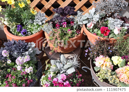 群栽花盆 群栽花盆 111907475