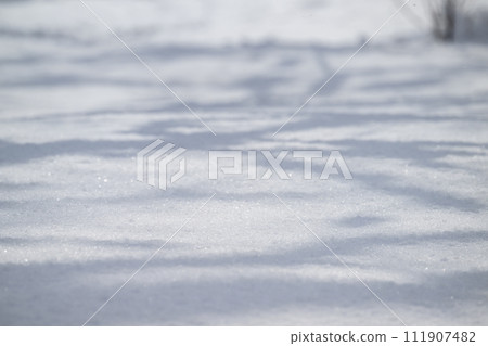 幻雪景（中島公園）_4792 111907482
