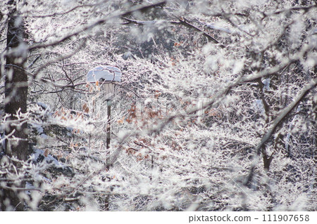 雪景中的路燈 111907658