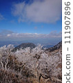Mt. Koshiki and hoarfrost seen from Mt. Karakuri in Kirishima, Kyushu 111907896