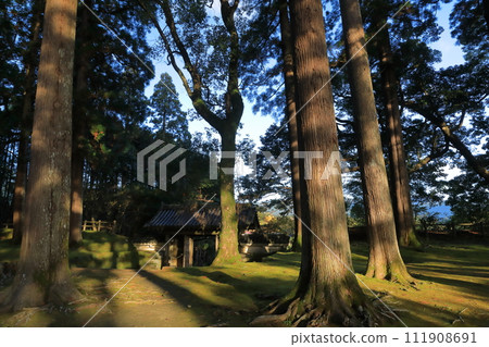 日南飫肥城舊主圍遺址、飫肥杉林風景 日南飫肥城舊主圍遺址、飫肥杉林風景 111908691