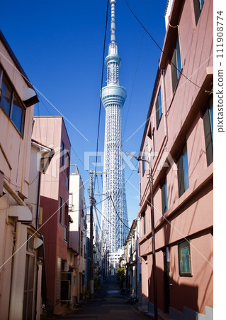Downtown and Tokyo Sky Tree Downtown and Tokyo Sky Tree 111908774