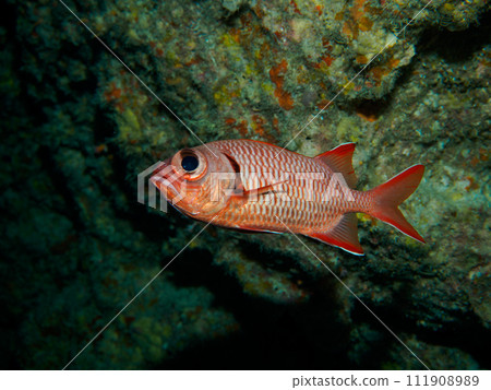 Affiliation 111908989