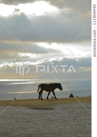 漫步在台肥岬的日落廣場上,眼前就是一望無際的志布志灣。 漫步在台肥岬的日落廣場上,眼前就是一望無際的志布志灣。 111909440