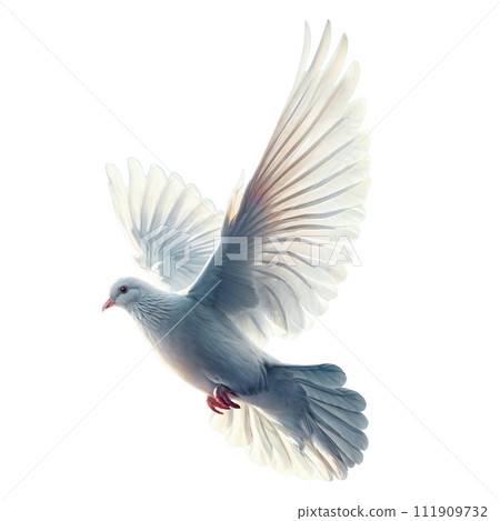 飛翔的白鴿 111909732