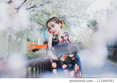 A woman in a kimono looking at cherry blossoms 111909761