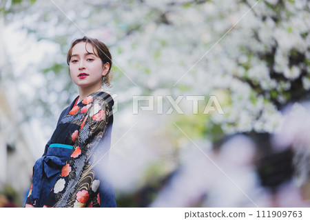 A woman in a kimono looking at cherry blossoms 111909763