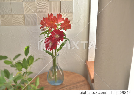 窗邊的花：非洲菊與六出花 111909844