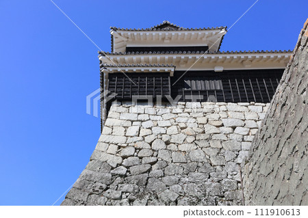 Looking up at Matsuyama Castle's drum turret from Nakanomonzeki. (Honmaru Minami Kuruwa) 111910613