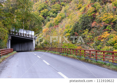 北海道佔冠村第二屆二牛八巴堂及紅葉【10月】 北海道佔冠村第二屆二牛八巴堂及紅葉【10月】 111910622
