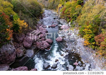 從北海道佔冠村赤岩橋看到的秋日赤岩青岩峽【10月】 111910670