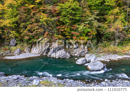 北海道佔冠村秋天的穆川開始變色【10月】 北海道佔冠村秋天的穆川開始變色【10月】 111910775