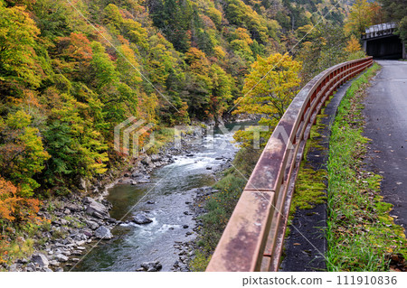 Shimukappu Village on the Kaido Road, Mukawa in autumn is starting to change color [October] 111910836