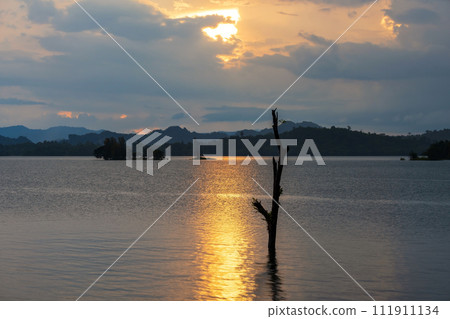 Silhouette tree trunk over water at sunset in Vajiralongkorn dam Silhouette tree trunk over water at sunset in Vajiralongkorn dam 111911134